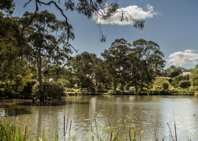 Wittunga Botanic Garden