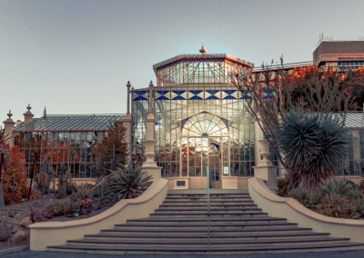 Adelaide Botanic Garden